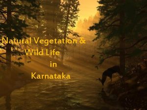 Vegetation types of karnataka