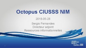 Octopus ciusss