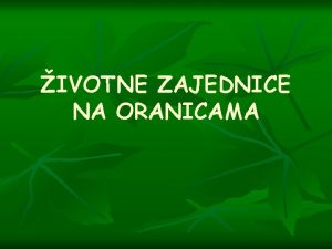 IVOTNE ZAJEDNICE NA ORANICAMA n Na poljima penice