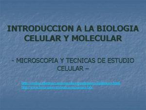 INTRODUCCION A LA BIOLOGIA CELULAR Y MOLECULAR MICROSCOPIA