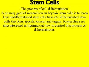 Stem Cells The process of cell differentiation A