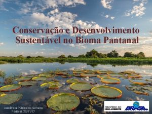 Conservao e Desenvolvimento Sustentvel no Bioma Pantanal Audincia