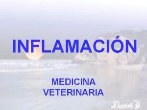 INFLAMACIN MEDICINA VETERINARIA INFLAMACIN Respuesta de los tejidos