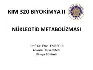 KM 320 BYOKMYA II NKLEOTD METABOLZMASI Prof Dr