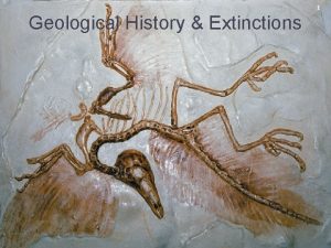1 Geological History Extinctions 2 FOSSIL The trace