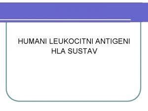 HUMANI LEUKOCITNI ANTIGENI HLA SUSTAV Leukocitni antigeni l