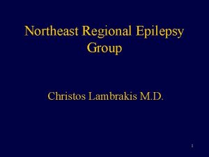 Northeast Regional Epilepsy Group Christos Lambrakis M D