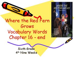 Where the red fern grows vocabulary