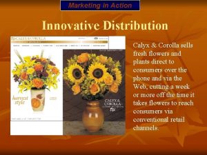 Marketing in Action Innovative Distribution Calyx Corolla sells