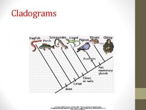 Cladograms One way to classify is by Phylogenetic