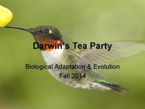 Darwins Tea Party Biological Adaptation Evolution Fall 2014