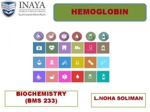 Shape of hemoglobin