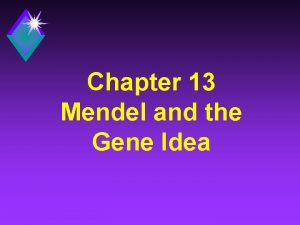 Chapter 13 Mendel and the Gene Idea Inheritance