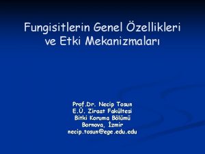 Fungisitlerin Genel zellikleri ve Etki Mekanizmalar Prof Dr