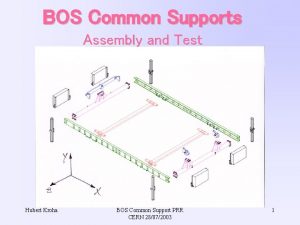 BOS Common Supports Assembly and Test Hubert Kroha