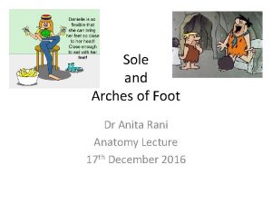 Sole and Arches of Foot Dr Anita Rani