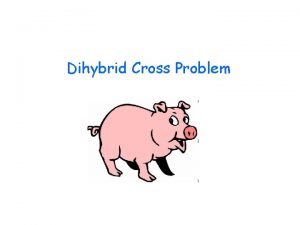 Dihybrid cross problem