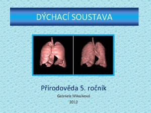 DCHAC SOUSTAVA Prodovda 5 ronk Gabriela Mikulkov 2012