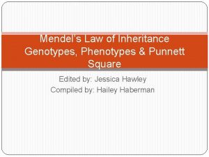 Mendels Law of Inheritance Genotypes Phenotypes Punnett Square