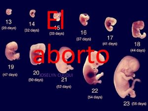 El aborto JOSELYN CULQUI QUE ES El aborto