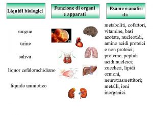 Liquidi biologici Funzione di organi e apparati sangue