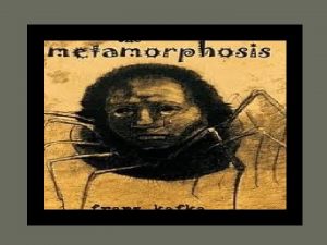 What is Metamorphosis Metamorphosis is a novella written