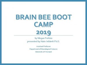 BRAIN BEE BOOT CAMP 2019 by Megan Perkins