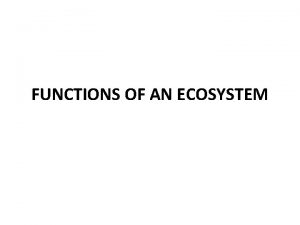 Ecosystem functions