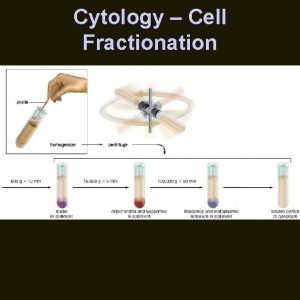 Cytology Cell Fractionation Cytology Microscopy Cytology Immunofluorescence microscopy