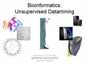 Bioinformatics Unsupervised Datamining Mark Gerstein Yale University gersteinlab