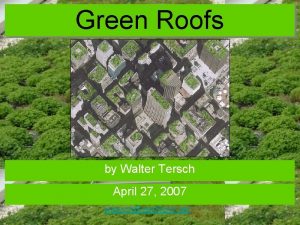 Green Roofs by Walter Tersch April 27 2007