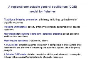A regional computable general equilibrium CGE model for