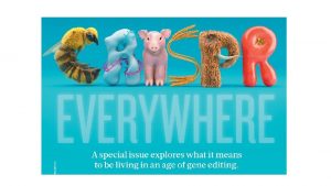 Non-homologous end joining Non-homologous end joining