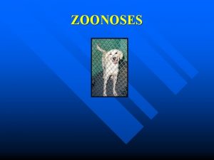 ZOONOSES Zoonoses in Shelters n Zoonosis disease passed