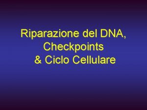 Riparazione del DNA Checkpoints Ciclo Cellulare Fattori in