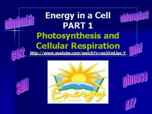 Photosynthesis energy transformation