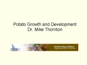 What are the stages of potato growth