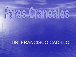 DR FRANCISCO CADILLO Pares Craneales 1 Olfatorio I