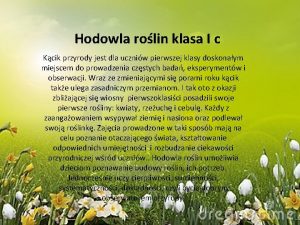 Hodowla fasoli prezentacja Hodowla fasoli prezentacja