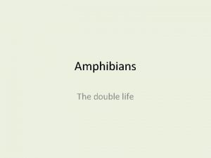 Origin and evolution of amphibia