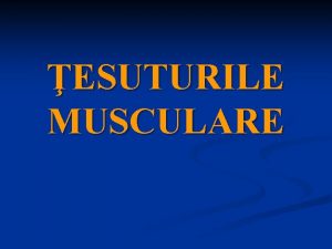 Tesut muscular neted