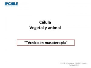 Clula Vegetal y animal Tcnico en masoterapia Professor