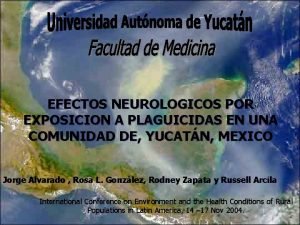 EFECTOS NEUROLOGICOS POR EXPOSICION A PLAGUICIDAS EN UNA