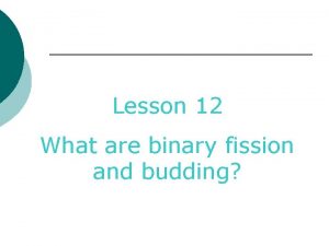 Lesson 12 What are binary fission and budding