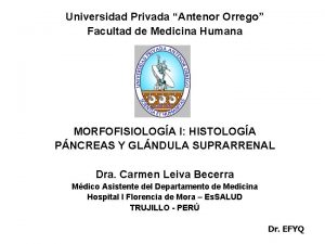 Universidad Privada Antenor Orrego Facultad de Medicina Humana