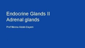Endocrine Glands II Adrenal glands Prof Menna AbdelDayem