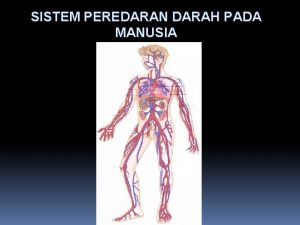 SISTEM PEREDARAN DARAH PADA MANUSIA Organ Sistem Peredaran