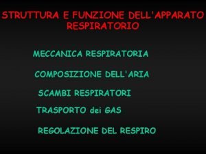 Compliance sistema respiratorio