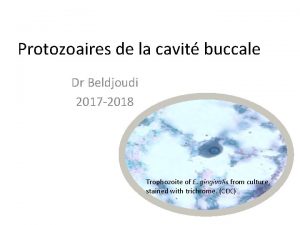 Protozoaires de la cavit buccale Dr Beldjoudi 2017