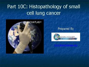 Part 10 C Histopathology of small cell lung